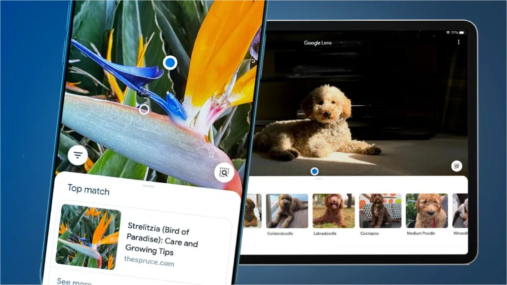 Google Lens