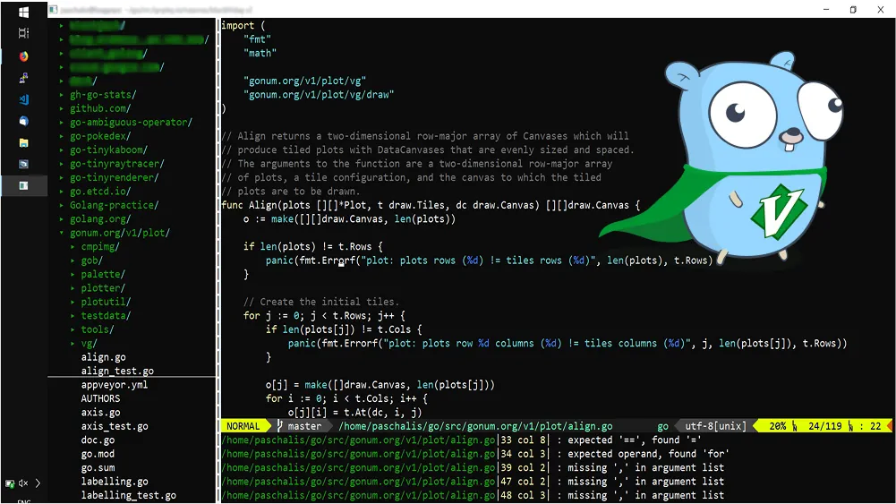 Vim-go