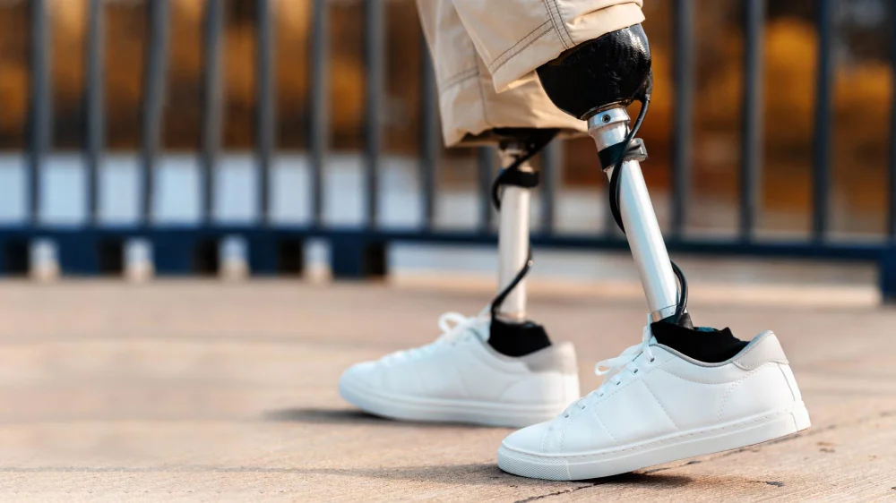 Accessibility & Independence