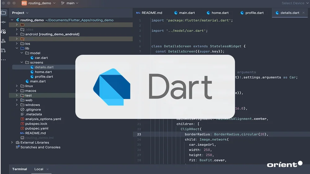 Dart