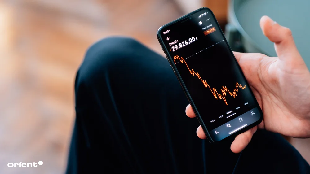 What is financial software development?
