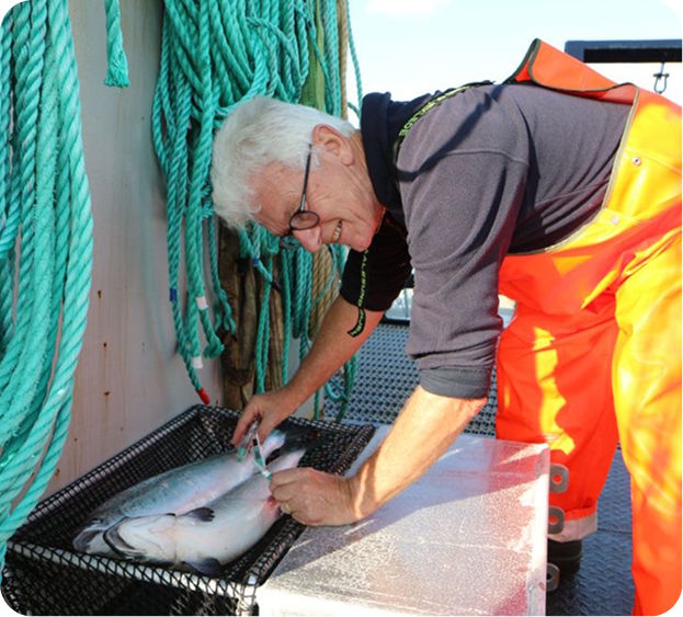 Fishwell – AI-Powered Monitoring for Aquaculture Management